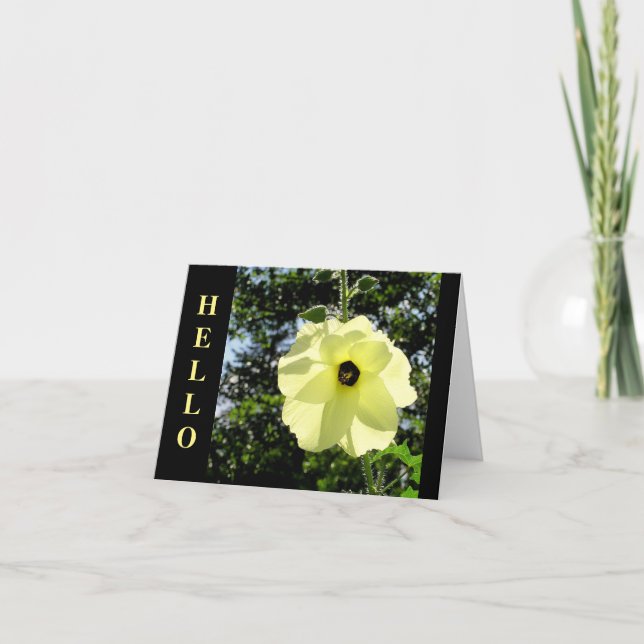 HIBISCUS/MOONLIGHT-YELLOW, BACKLIT BY SUN/ "HELLO" CARD (Front)