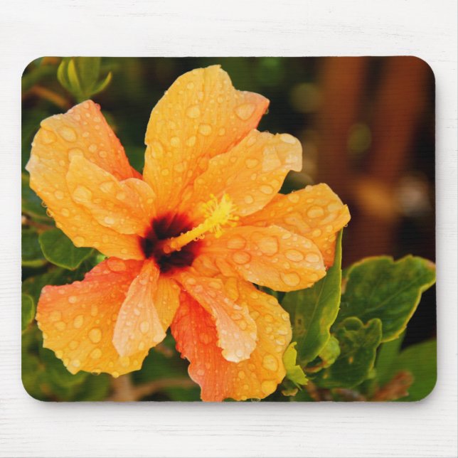 Hibiscus Mouse Pad (Front)