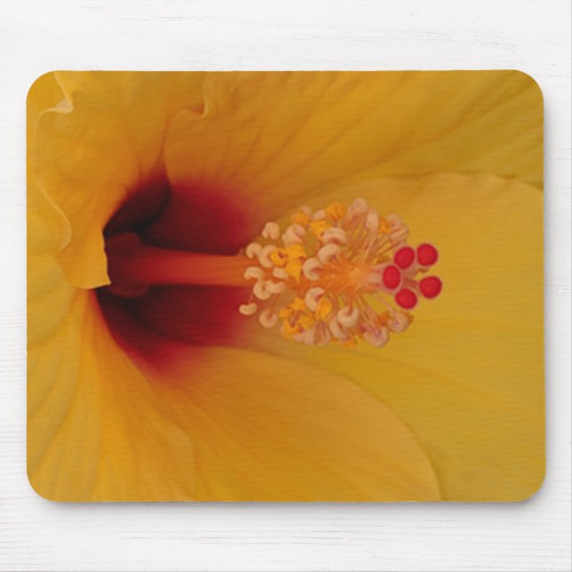 Hibiscus Mouse Pad (Front)