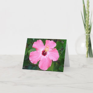 Hibiscus - N Card