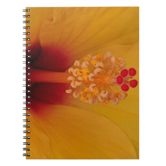 Hibiscus Notebook (Front)