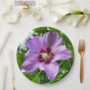 Hibiscus Paper Plate