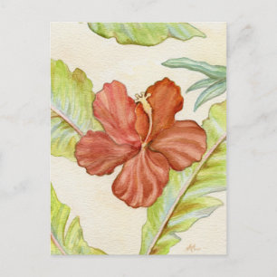 Hibiscus postcard