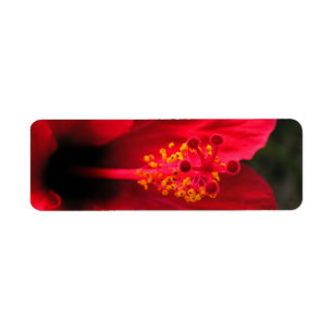 Hibiscus Return Address Label