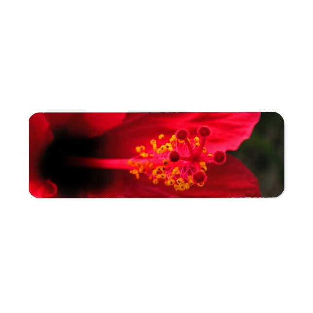 Hibiscus Return Address Label (Front)