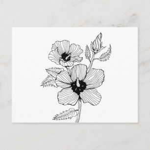 Hibiscus Rose of Sharon Flower Postcard