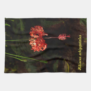 Hibiscus schizopetalus - Japanese Lantern Tea Towel
