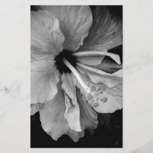 Hibiscus Stationery