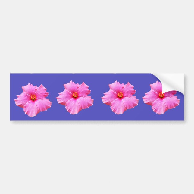 Hibiscus  Summer Breeze,_ Bumper Sticker (Front)