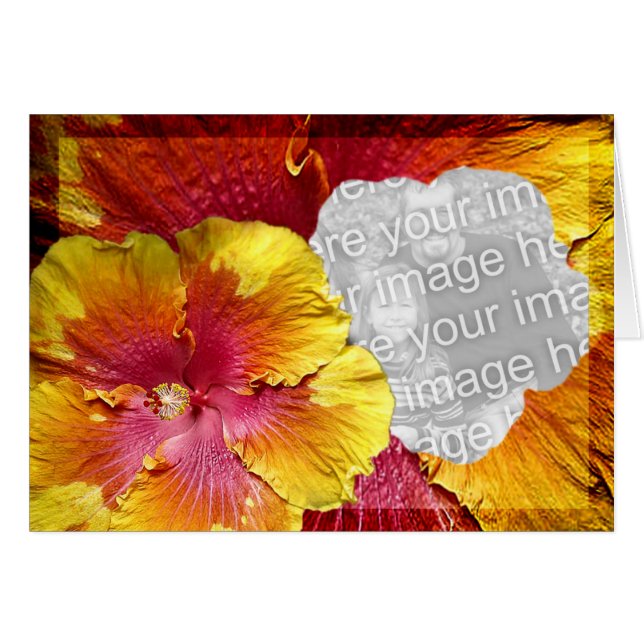 Hibiscus template 1 (Front Horizontal)