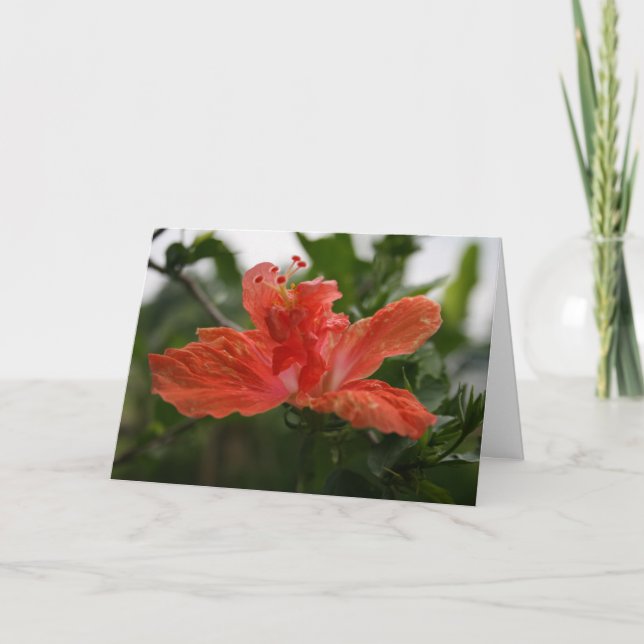 Hibiscus Thank You Card (Front)