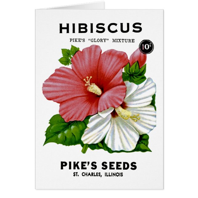 Hibiscus Vintage Seed Packet (Front)
