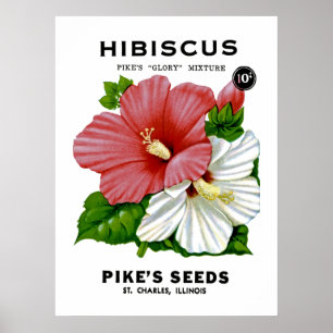Hibiscus Vintage Seed Packet Poster