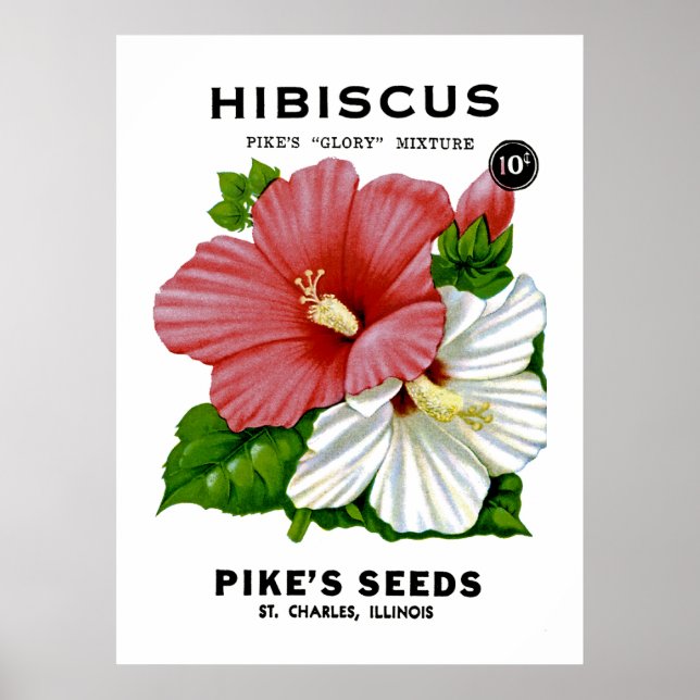 Hibiscus Vintage Seed Packet Poster (Front)