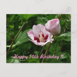 Hibiskus Hibiscus 50. Geburtstag Jubiläum Postcard