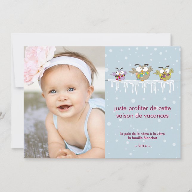 Hiboux Chilling carte de photo de vacances (Front)