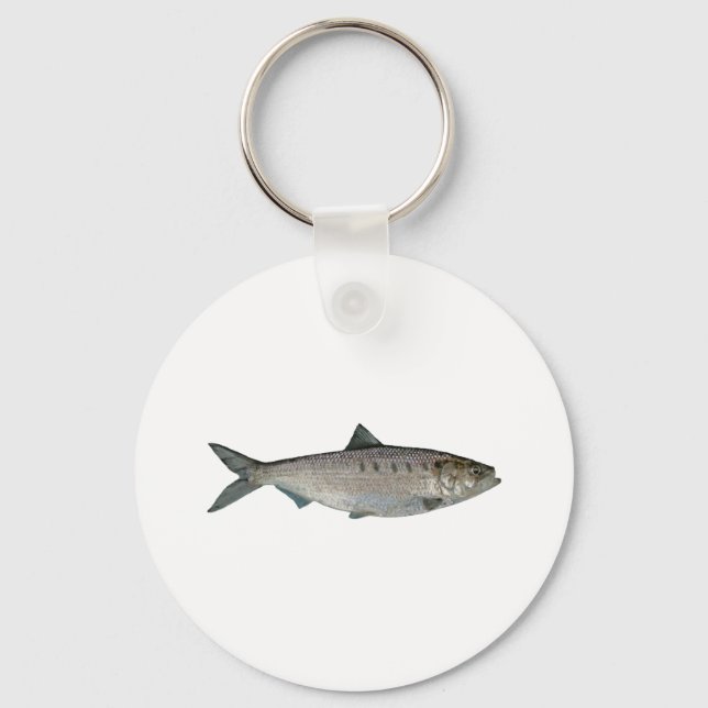 Hickory Shad Watercolor Key Ring (Front)