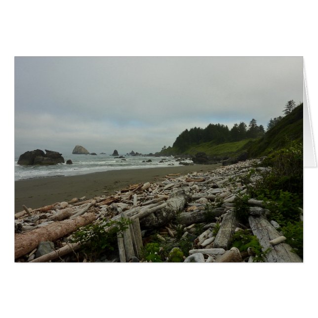 Hidden Beach I at Redwood National Park (Front Horizontal)