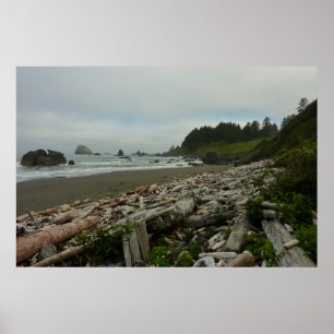 Hidden Beach I at Redwood National Park Poster