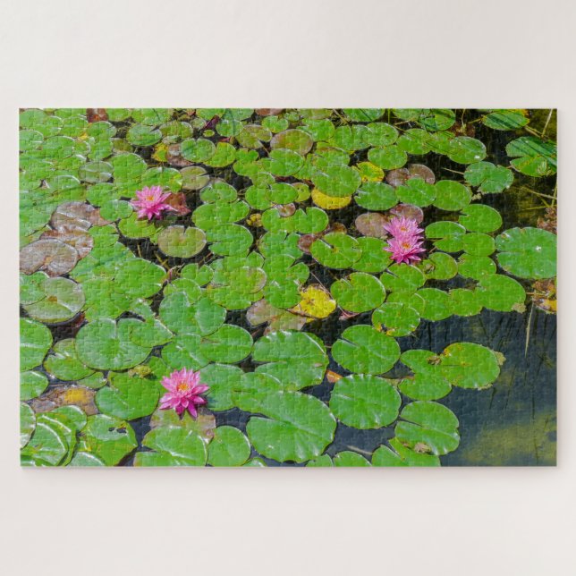 Hidden Frogs Jigsaw Puzzle (Horizontal)