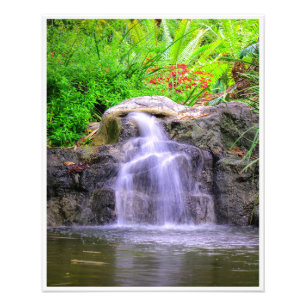 Hidden Garden Cascade Photo Print
