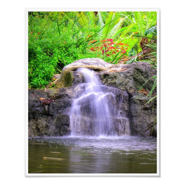 Hidden Garden Cascade Photo Print (Front)
