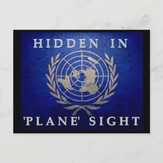 Hidden In 'Plane' Sight Postcard