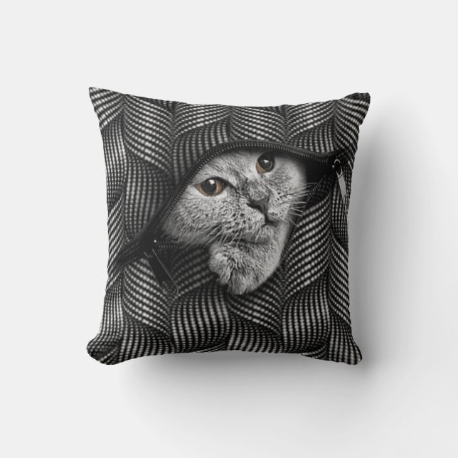 hidden kitten cushion (Front)