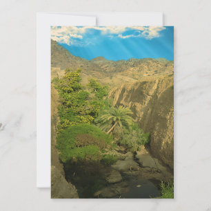 Hidden oasis holiday card