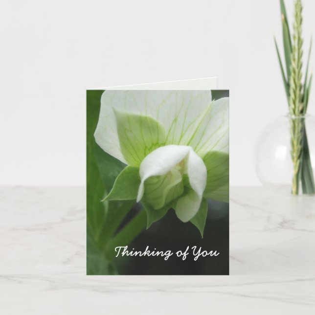 Hidden Peas Customisable Template Note Card (Front)