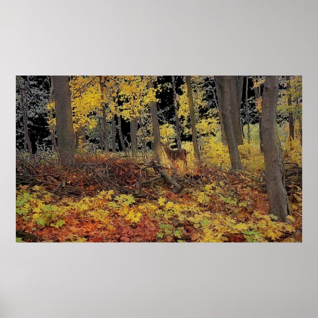 Hidden , poster (Front)