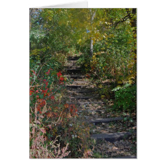 Hidden Stairway