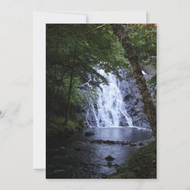 Hidden Through the Trees (Front)