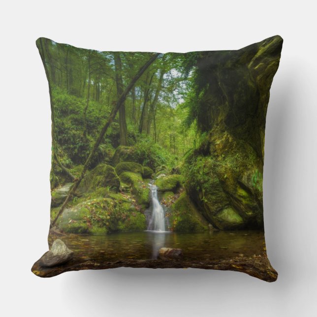 Hidden Waterfall Throw Pillow (Front)