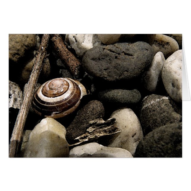 Hide and Seek (Front Horizontal)