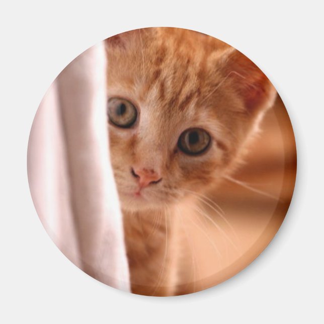 Hide-and-Seek Kitty refrigerator magnet (Front)