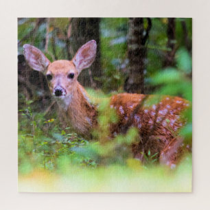 Hide and Seek With a Spotted Fawn - 20x20 inch Jigsaw Puzzle