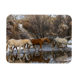 Hideout Horse Ranch Magnet