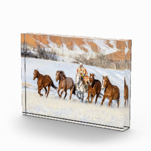 Hideout Horse Ranch, Wrangler and Horses Photo Block