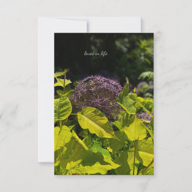 Hiding Allium Card (Front)