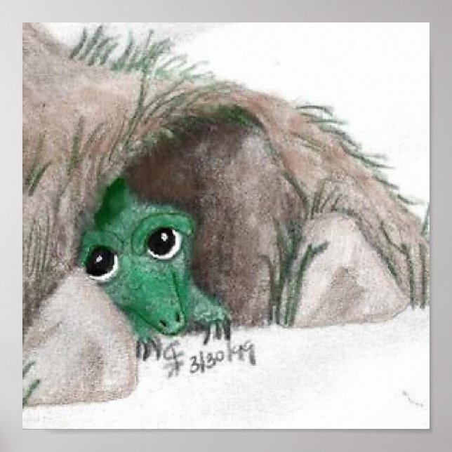 Hiding Dragon Poster (Front)