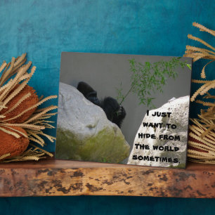 HIDING FROM THE WORLD PLAQUE