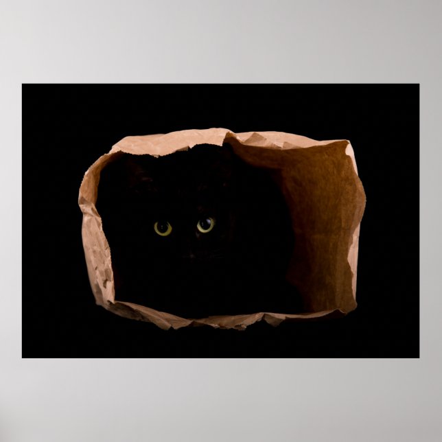 Hiding in Shadows Poster (Front)