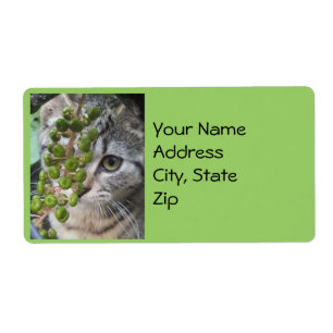 Hiding Kitten Address Labels