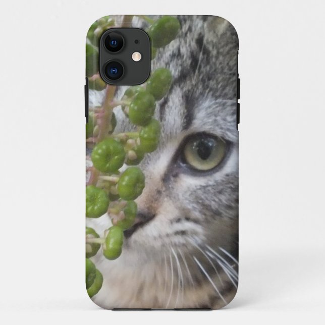 Hiding Kitten EYE-Phone 5 Case (Back)