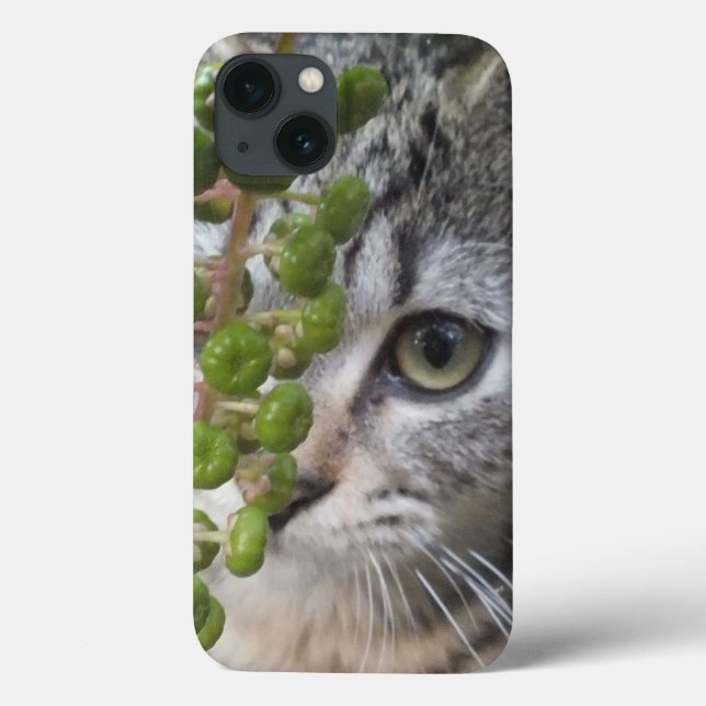 Hiding Kitten EYE-Phone iPad Case (Back)
