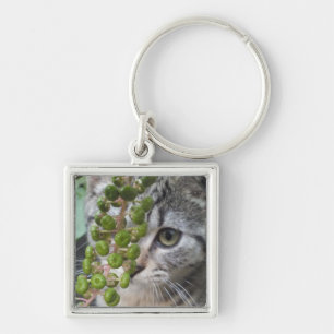 Hiding Kitten Key Ring