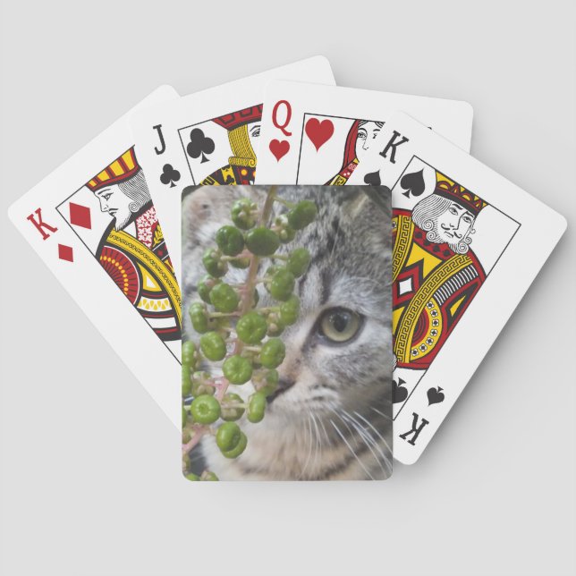 Hiding Kitten Playing Cards (Back)