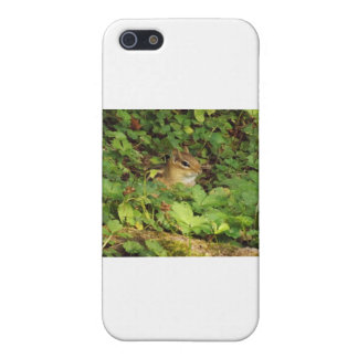 Hiding Place Case For The iPhone 5