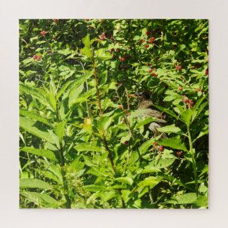 Hiding Robin Jigsaw Puzzle